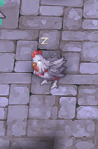 Cluckers in Prontera