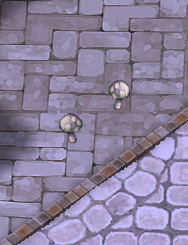 Find the Mushroom NPC in Prontera